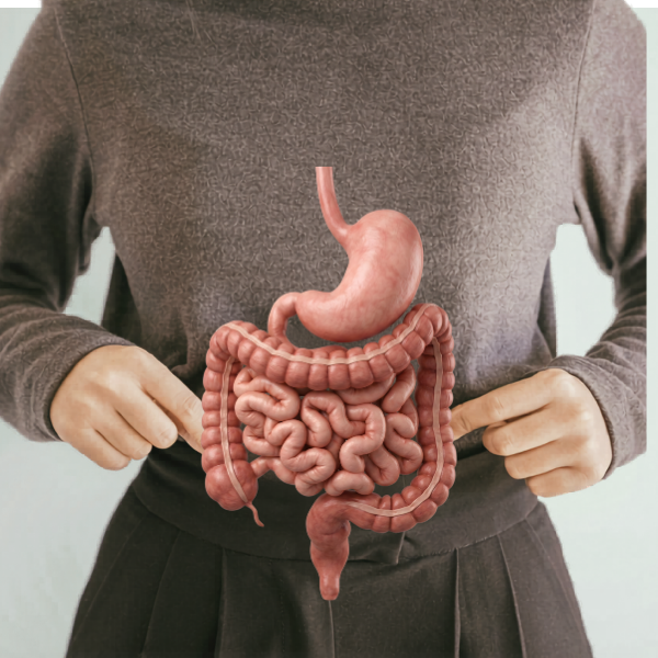 Digestive Care