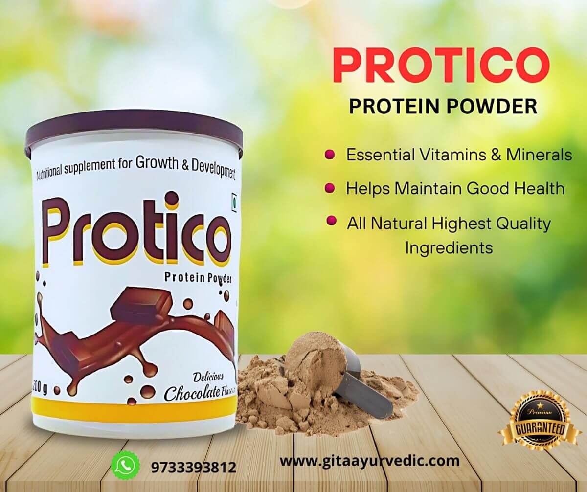 Protico Protein Powder 200g (pack of 2)