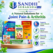 Sandhi suraksha plus